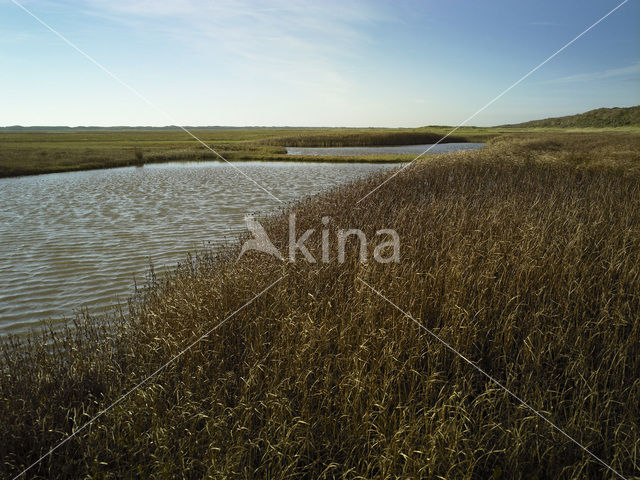 Nationaal Park Duinen van Texel