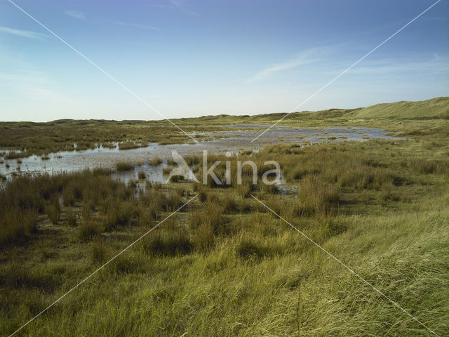 Nationaal Park Duinen van Texel