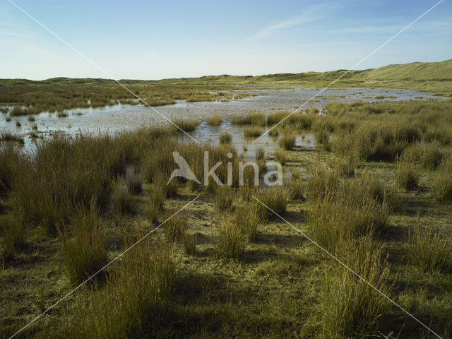 Nationaal Park Duinen van Texel