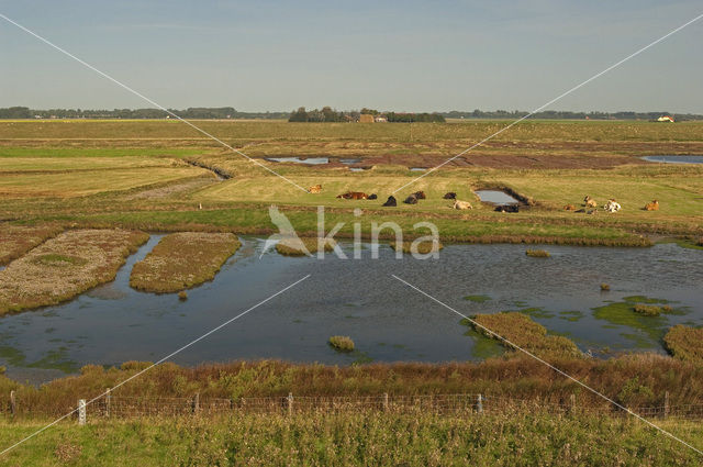 Nationaal Park Oosterschelde