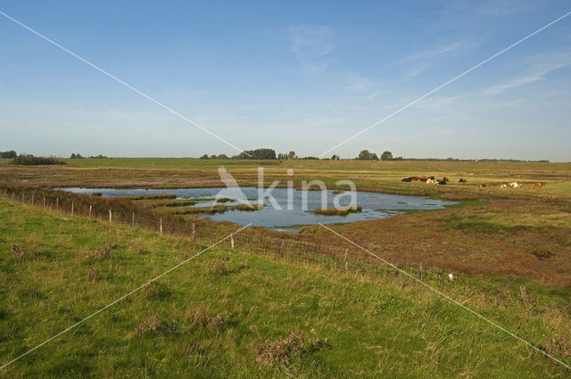 Nationaal Park Oosterschelde