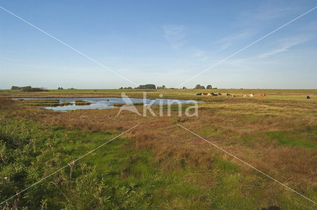 Nationaal Park Oosterschelde