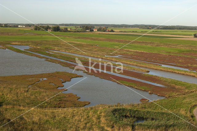 Nationaal Park Oosterschelde