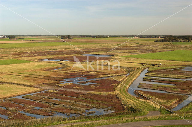 Nationaal Park Oosterschelde