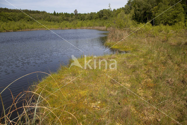 Naturpark Feldberger Seenlandschaft