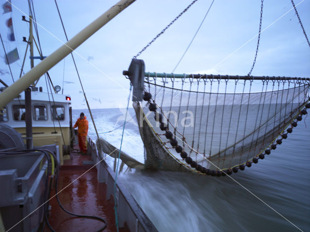 Waddensea