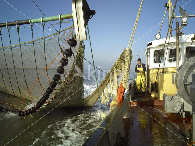 Waddensea