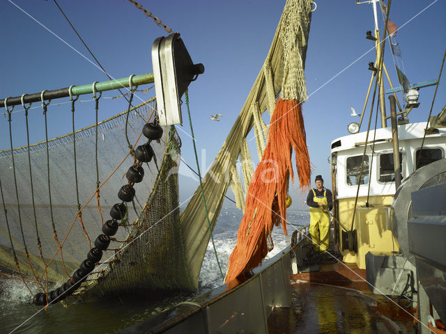 Waddenzee