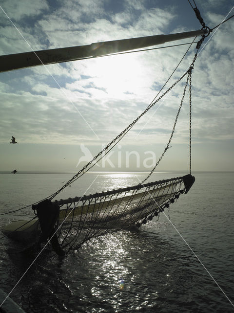 Waddenzee