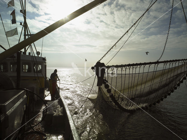 Waddenzee