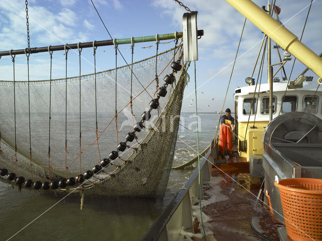 Waddenzee