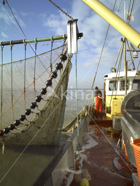 Waddensea