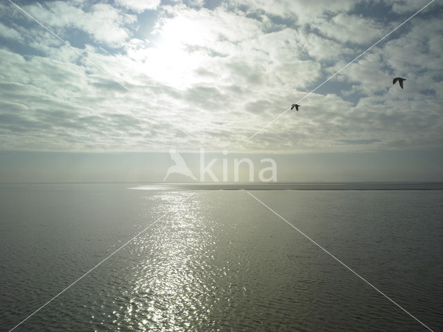 Waddenzee