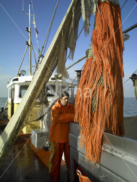 Waddenzee