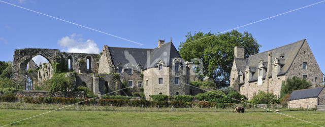 Abbaye de Beauport