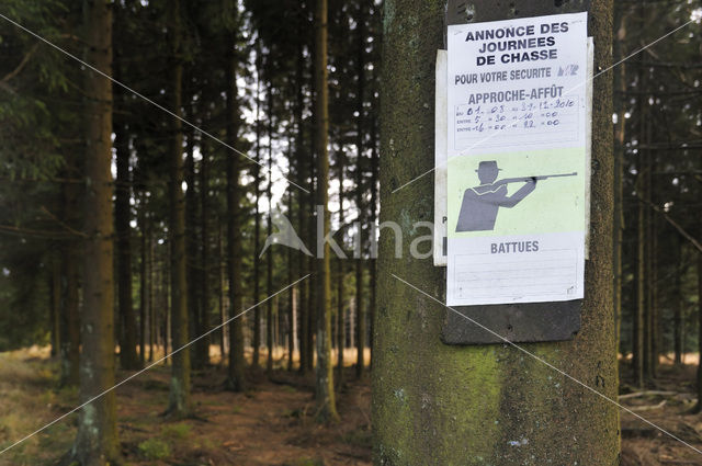 Ardennen