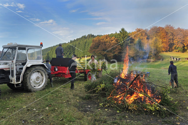 Ardennen