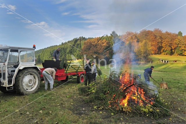 Ardennen