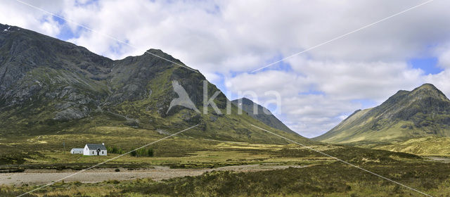 Buachaille Etive Mor