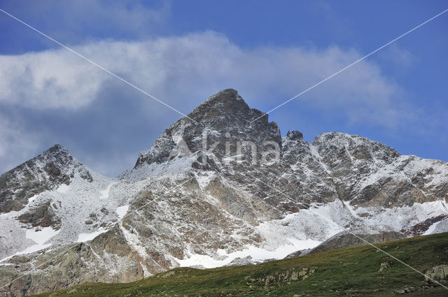 Gavia Pass