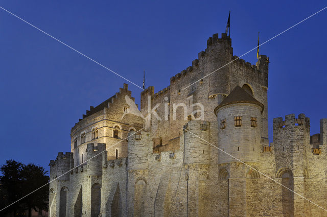 Castle of the counts