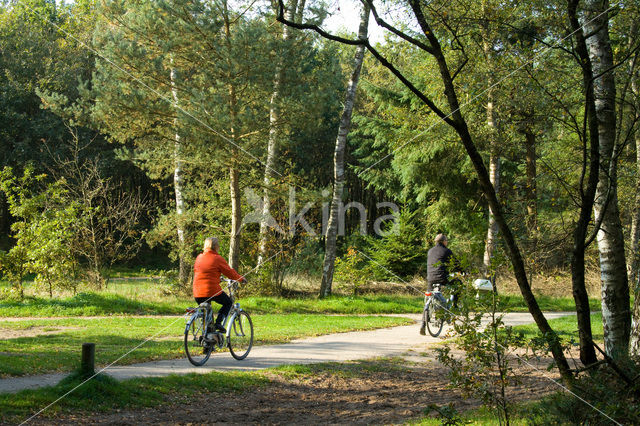 Kootwijkerzand