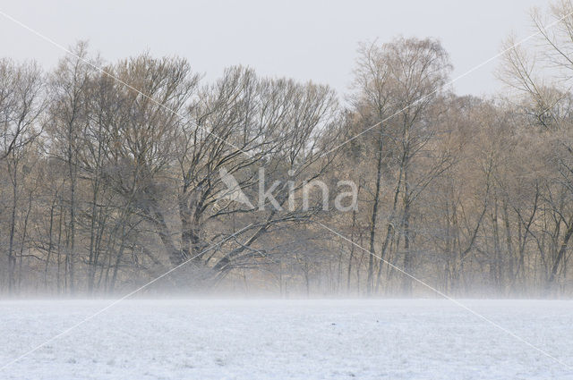 Landgoed Noord Ginkel