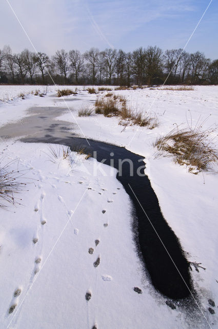 Landgoed Noord Ginkel