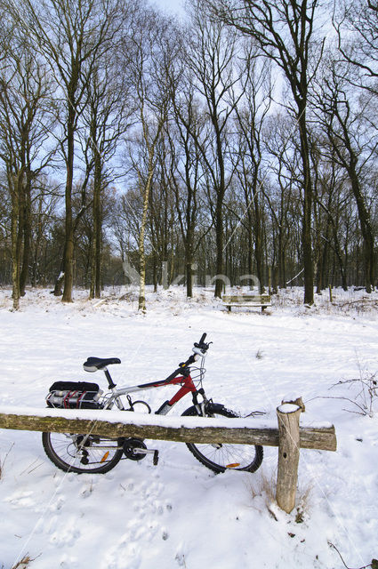 Landgoed Noord Ginkel