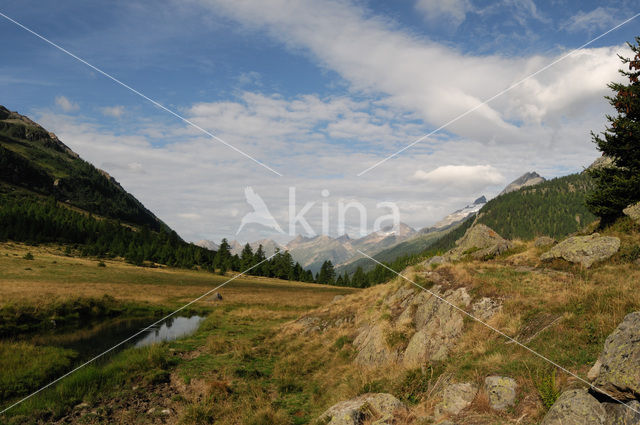 Lötschental