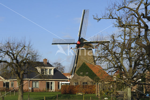 Molen De Valk