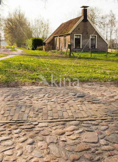 Nationaal Park Dwingelderveld