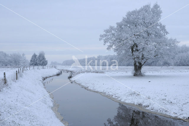 National Park Weerribben-Wieden