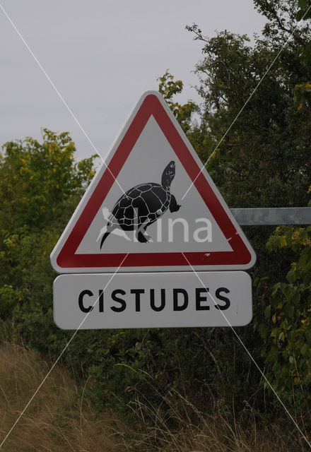 Parc naturel regional de La Brenne