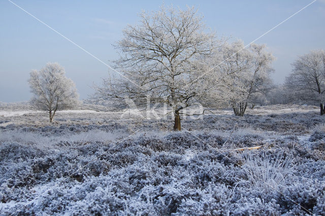 Gasterse Duinen