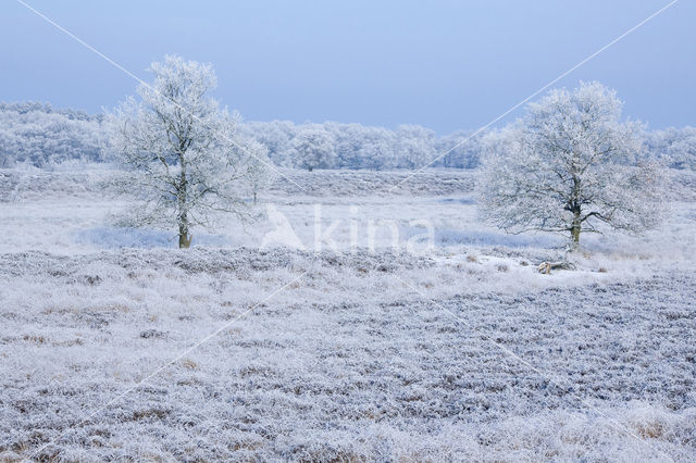 Gasterse Duinen