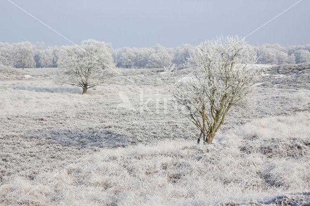 Gasterse Duinen