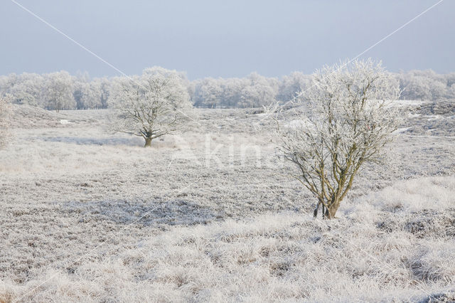 Gasterse Duinen