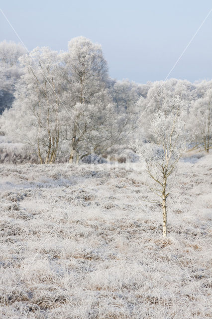 Gasterse Duinen