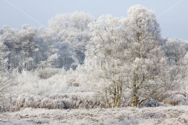 Gasterse Duinen