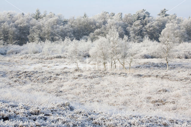 Gasterse Duinen