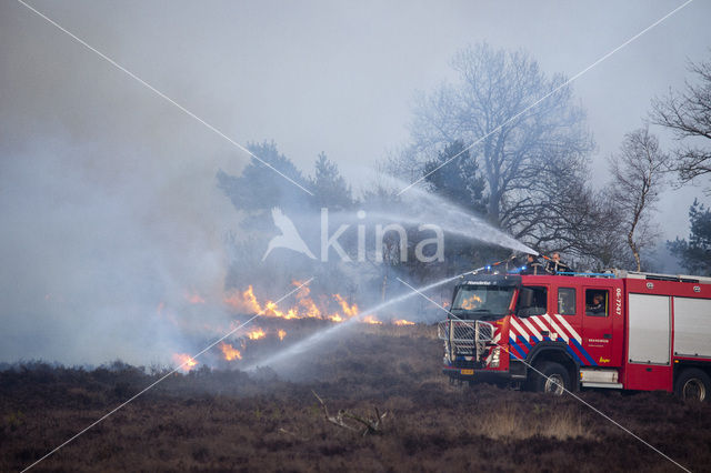 Hoog Buurlose Heide