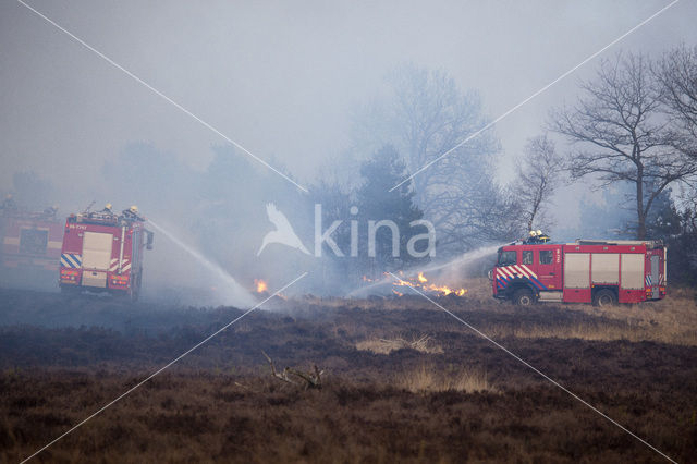 Hoog Buurlose Heide