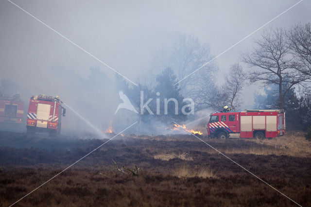 Hoog Buurlose Heide