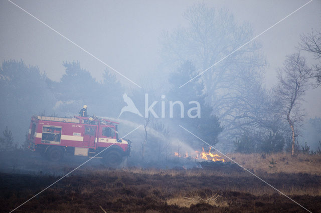 Hoog Buurlose Heide