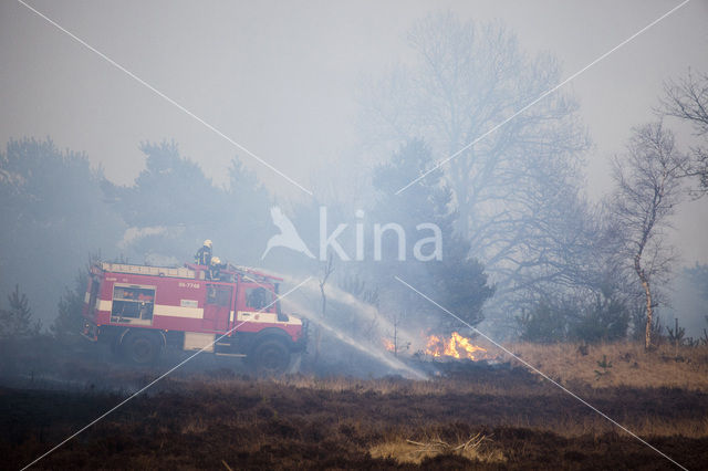 Hoog Buurlose Heide