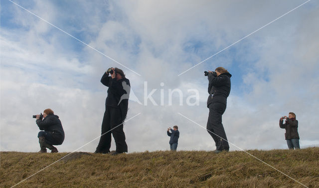 Nationaal Park Lauwersmeer