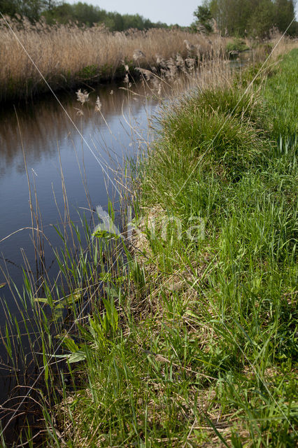 Nationaal Park Weerribben-Wieden