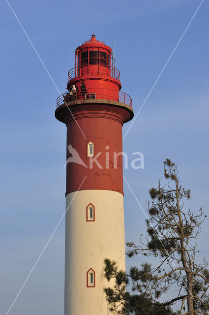 Phare de Brighton