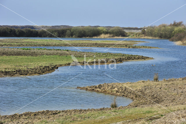 Réserve naturelle de la Baie de Somme